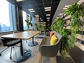 Bright office with plantings